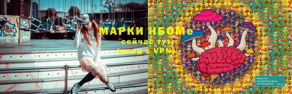 PSILOCYBIN Белоозёрский