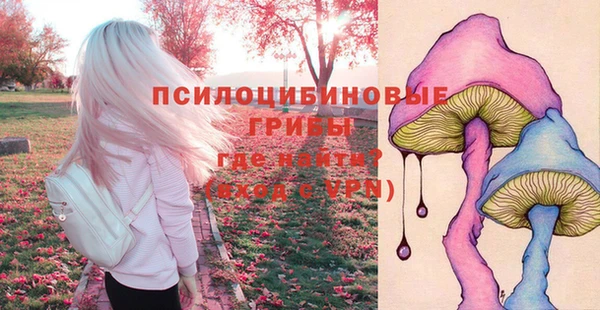 PSILOCYBIN Белоозёрский