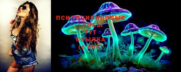 марки lsd Белокуриха