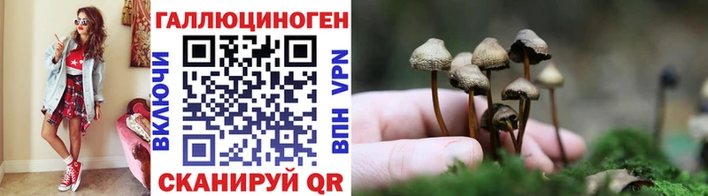 kraken ONION  Будённовск  Псилоцибиновые грибы ЛСД 